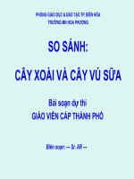 Giáo trình điện tử mầm non: so sánh cây xoài và cây vú sữa pps