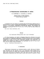 báo cáo khoa học: 