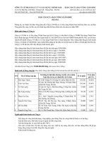 CÔNG TY CỔ PHẦN ĐẦU TƯ VÀ XÂY DỰNG THÀNH NAM - BÁO CÁO CỦA BAN TỔNG GIÁM ĐỐC 2009 potx