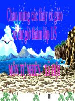 Giáo án điện tử tiểu học: Tự nhiên xã hội lớp 1 docx