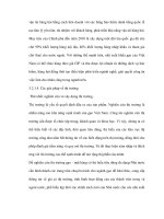 Cơ sở thực tiễn xuất khẩu gạo Việt nam thời gian tới theo quan điểm marketing và tìm ra hướng đi mới - 4 pot