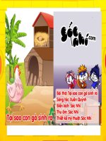 Kể chuyện theo tranh: Tại sao gà con sinh ra docx