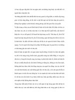 Nghiên cứu lịch sử ra đời và phát triển kinh tế mới ở hai mặt tiêu cực và tích cực của nó - 2 pot