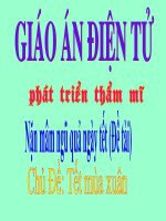 Giáo trình điện tử mầm non: Tạo hình mâm ngũ quả pot