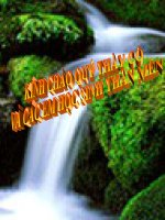 Giáo án điện tử tiểu học: Loài vật sống trên cạn potx