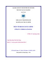 Báo cáo phân tích tài chính công ty cổ phần gò đàng