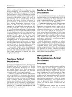 Common Eye Diseases and their Management - part 6 doc