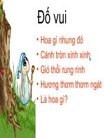 Giáo trình điện tử mầm non: Hoa hồng và cây sen pdf