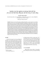 Báo cáo nghiên cứu khoa học 