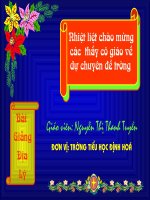 Giáo án điện tử tiểu học: Một số dân tộc ở tây Nguyên pdf