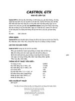 GTX-vn pdf