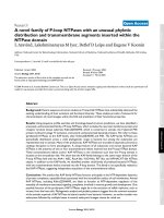 A novel family of P-loop NTPases with an unusual phyletic distribution and transmembrane segments inserted within the NTPase domain pot