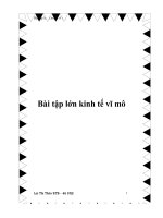 Bài tập lớn kinh tế vĩ mô