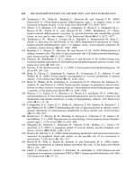 Insulin Action and Its Disturbances in Disease - part 5 pptx