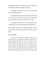 Giáo trình hình thành phân đoạn ứng dụng nguyên lý thị trường phát triển ở trình độ cao p4 doc