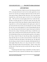 Thực tập tại công ty cổ phần đầu tư xây dựng và dịch vụ thương mại hà nội