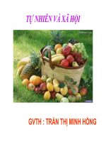 Giáo án điện tử tiểu học: tự nhiên cac hội lớp 3 pdf