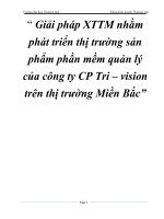 Giải pháp XTTM nhằm phát triển thị trường sản phẩm phần mềm quản lý của công ty CP Tri – vision trên thị trường Miền Bắc