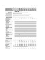 Business planning and financial modeling for microfinance insti phần 10 potx