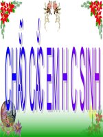 Giáo án điện tử tiểu học: Tự nhiên xã hội lớp 2 Trọng lực ppsx