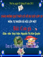 Giáo án điện tử tiểu học: Con gà pptx