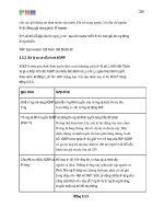 Giáo trình hình thành hệ thống ứng dụng cấu hình định tuyến các giao thức trong cấu hình ACP p3 ppt