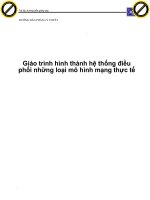 Giáo trình hình thành hệ thống điều phối những loại mô hình mạng thực tế p1 pdf
