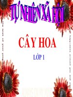 Giáo án điện tử tiểu học: Tự nhiên xã hội lớp 1 ppsx