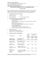 CÔNG TY CỔ PHẦN ALPHANAM - BÁO CÁO TÀI CHÍNH HỢP NHẤT QUÝ III NĂM 2009 potx