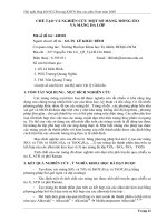 Tóm tắt báo cáo nghiên cứu khoa học 