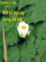 Giáo án điện tử tiểu học: Tự nhiên xã hội lớp 2 về cây dưới nước doc