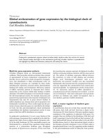 Global orchestration of gene expression by the biological clock of cyanobacteria Carl Hirschie Johnson pot