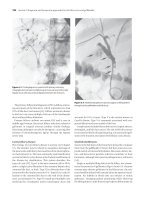 Diseases of the Gallbladder and Bile Ducts - part 4 pot