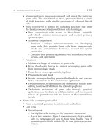 Digital histology an interactive cd atlas with review text phần 9 ppsx