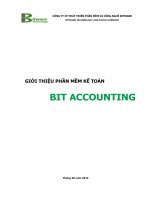 Phần mềm kế toán Bit Accounting docx