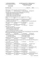 ĐỀ KIỂM TRA HỌC KỲ I - MÔN HOÁ HỌC 12 Mã đề thi 486 pot