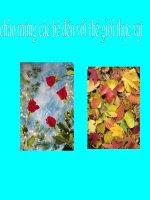 Giáo trình điện tử mầm non: Thế giới thực vật potx