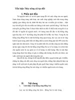 Tiểu luận Thủy nông cải tạo đất ppt