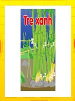 Kể chuyện theo tranh: Tre xanh doc