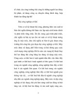 Giáo trình hình thành phân đoạn ứng dụng nguyên lý thị trường phát triển ở trình độ cao p3 doc