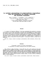 báo cáo khoa học: 