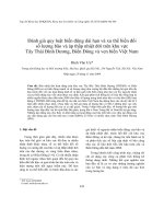 Báo cáo nghiên cứu khoa học 