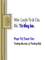 Giáo án điện tử tiểu học: Từ đồng âm doc