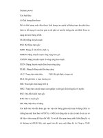 Thực trạng thị trường điện thoại cạnh tranh với di động và giải pháp của các công ty mạng - 2 ppt