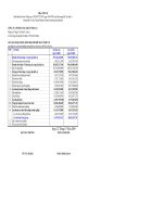 KẾT QUẢ HOẠT ĐỘNG KINH DOANH HỢP NHẤT TÓM TẮT - CÔNG TY CỔ PHẦN DẦU KHÍ AN PHA S.G pps