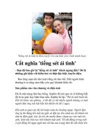 Cắt nghĩa ''''tiếng sét ái tình'''' pptx