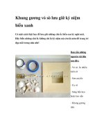 Khung gương vỏ sò lưu giữ kỷ niệm biển xanh potx