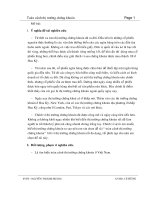 Tiểu luận toàn cảnh thị trường chứng khoán