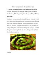 Một số thực phẩm nên cẩn thận khi sử dụng pps