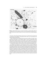 The principles of toxicology environmental and industrial applications 2nd edition phần 4 ppsx